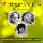 Inimitable - Instrumental - Ravi Shankar Song Download